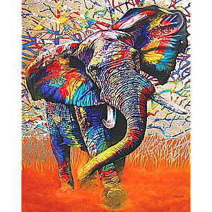 Paint by numbers 30x40 cm Colorful elephant, 20 colors, item 4