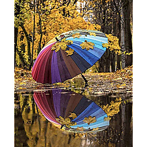 Paint by Numbers 30x40 cm Rainbow Umbrella, 20 colors, item 4