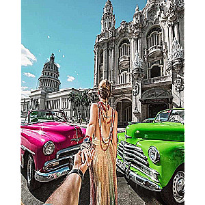 Paint by Numbers 30x40 cm Colorful Retro Cars, 20 colors, level 4