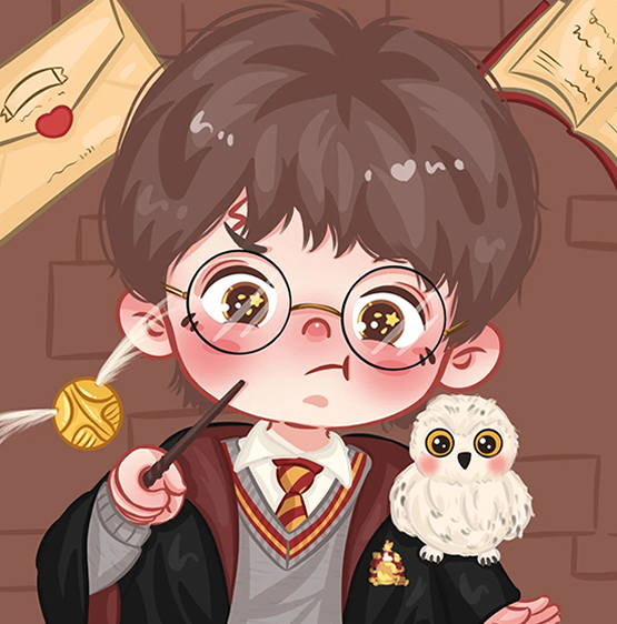 Paint by Numbers 20x20 cm Harry Potter 10 colors, set 4