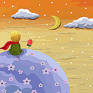 Paint by Numbers 20x20 cm Little Prince, 10 colors, torn 4