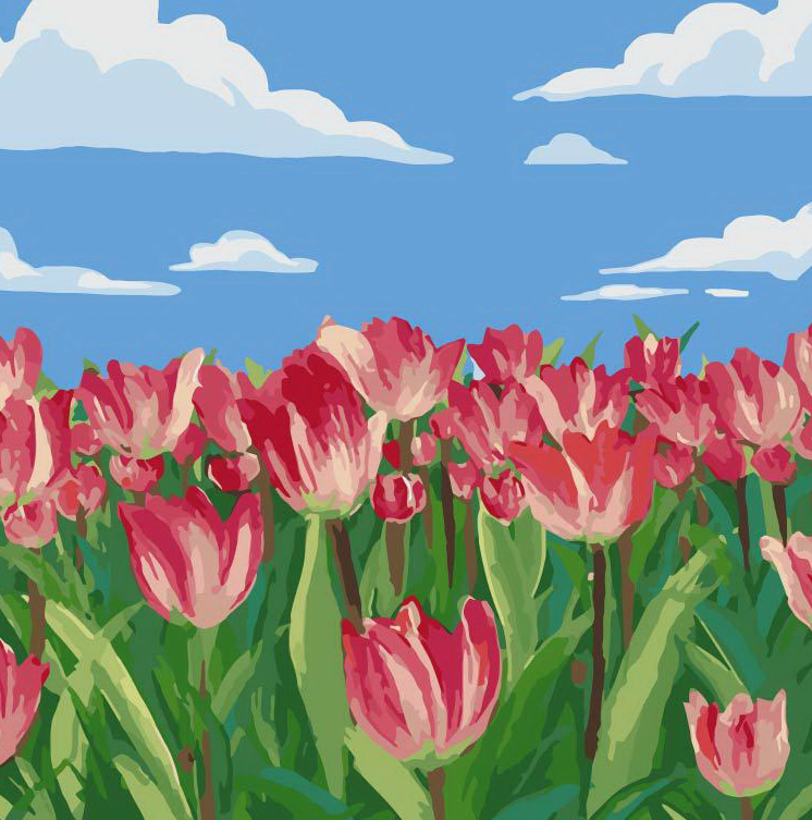 Paint by Numbers 20x20 cm Tulips, 10 colors, set 4