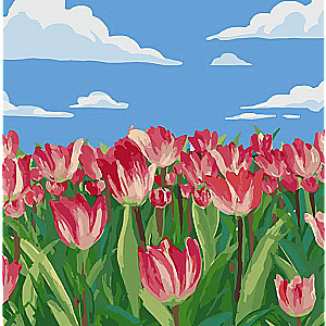 Paint by Numbers 20x20 cm Tulips, 10 colors, set 4
