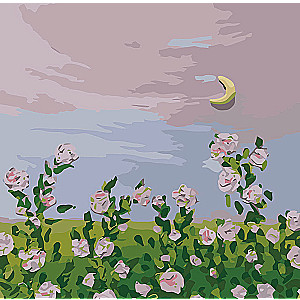 Paint by Numbers 20x20 cm Night Roses, 10 colors, art. 4