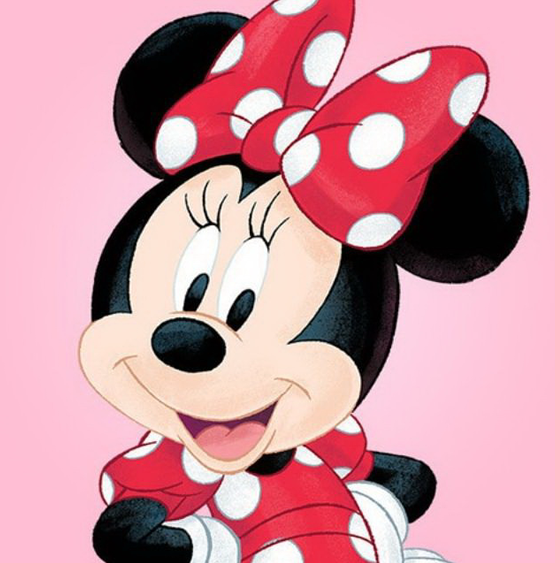 Paint by numbers 20x20 cm Minnie Mouse, 8 colors, torn 4
