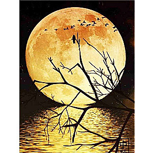 Diamond mosaic 40x50 cm Full Moon on the lake, 28 colors, level 4
