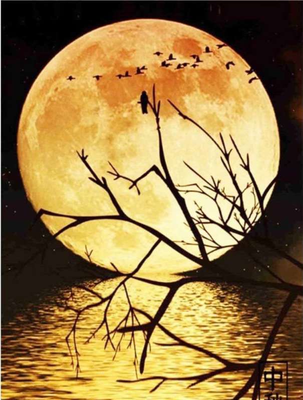 Diamond mosaic 40x50 cm Full Moon on the lake, 28 colors, level 4