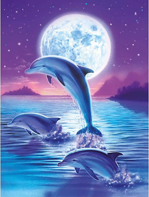 Diamond Mosaic 40x50 cm Dolphins, 28 colors, level 4