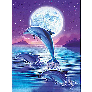 Diamond Mosaic 30x40 cm Dolphins, 26 colors, level 4