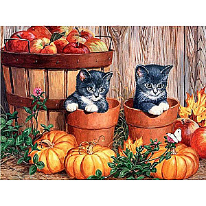 Diamond Mosaic 30x40 cm Kittens with Pumpkins, 26 colors, level 4