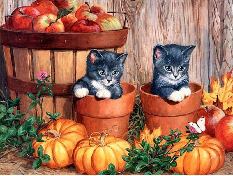 Diamond Mosaic 30x40 cm Kittens with Pumpkins, 26 colors, level 4