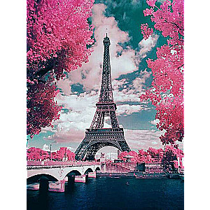 Diamond mosaic 30x40 cm Red trees in Paris, 26 colors, rev. 4