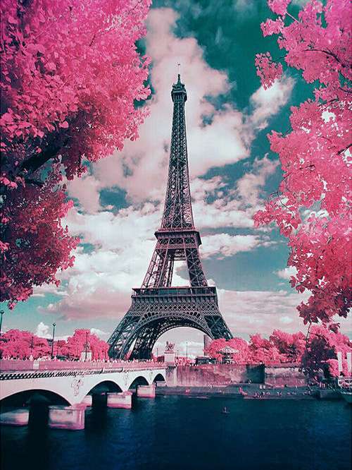 Diamond mosaic 30x40 cm Red trees in Paris, 26 colors, rev. 4