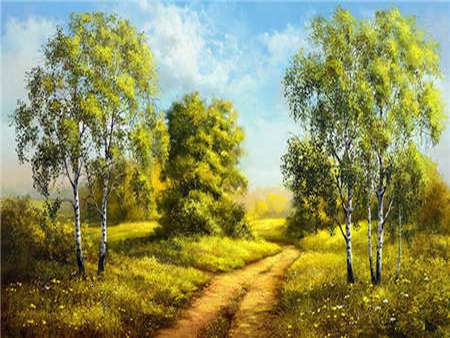 Diamond Mosaic 30x40 cm Birch Trees, 26 colors, level 4