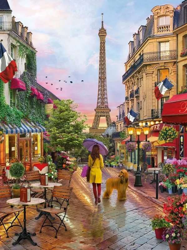Diamond mosaic 30x40 cm Girl with a dog in Paris, 26 colors, item 4