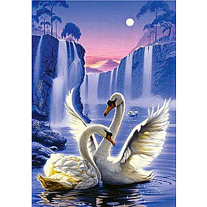 Diamond Mosaic 30x40 cm Swans, 26 colors, round 4