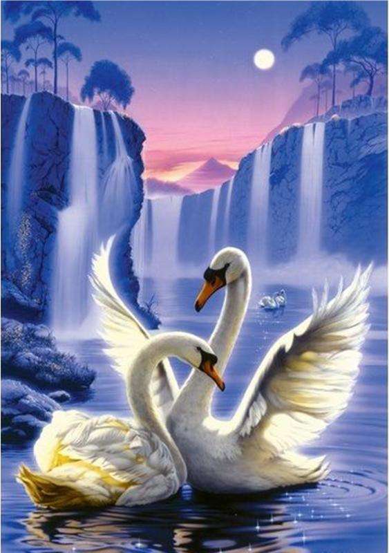 Diamond Mosaic 30x40 cm Swans, 26 colors, round 4