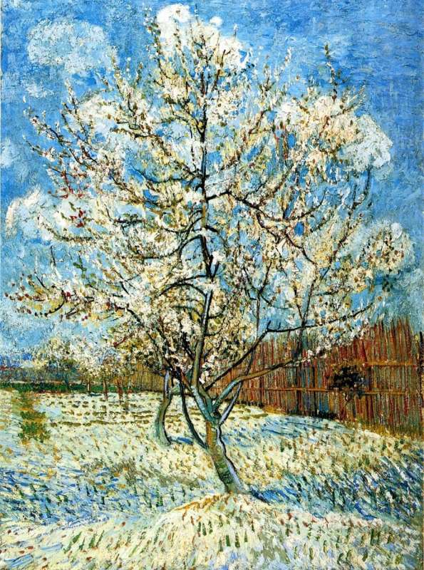 Diamond mosaic 30x40 cm Flowering tree, 26 colors, level 4