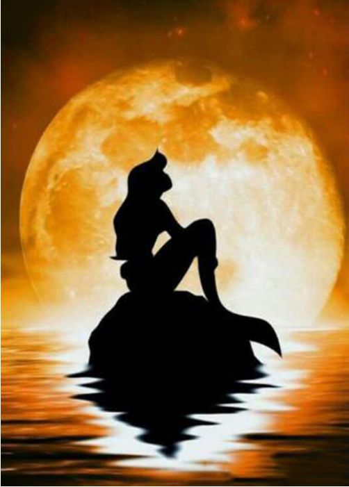 Diamond mosaic 30x40 cm Ariel under the moon, 25 colors, level 4