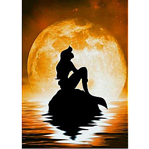 Diamond mosaic 30x40 cm Ariel under the moon, 25 colors, level 4