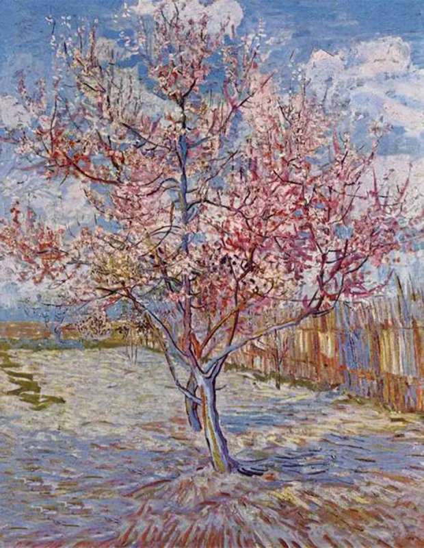 Diamond Mosaic 30x40 cm Blooming Cherry, 26 colors, section 4