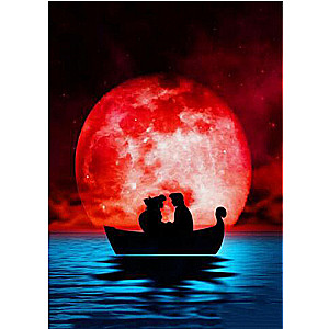 Diamond mosaic 30x40 cm Ariel with Prince under the moon, 21 colors, level 4