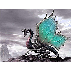 Diamond Mosaic 30x40 cm Dragon, 24 colors, level 4