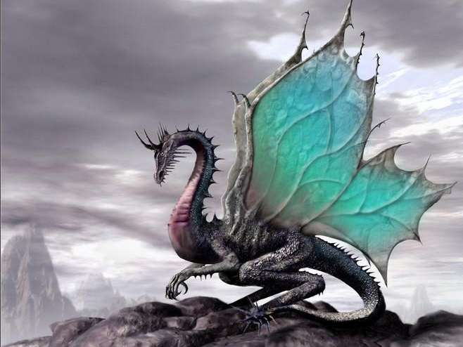Diamond Mosaic 30x40 cm Dragon, 24 colors, level 4