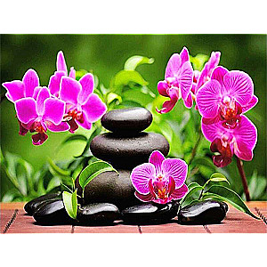 Diamond mosaic 30x40 cm Orchids and stone garden, 26 colors, category 4