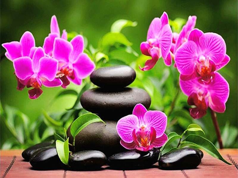 Diamond mosaic 30x40 cm Orchids and stone garden, 26 colors, category 4