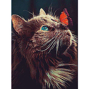 Diamond Mosaic 30x40 cm Cat and Butterfly, 24 colors, partial 4
