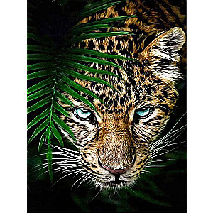 Diamond painting 30x40 cm Cheetah, 26 colors, level 4