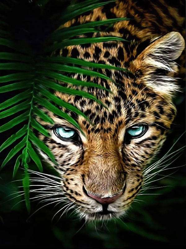 Diamond painting 30x40 cm Cheetah, 26 colors, level 4