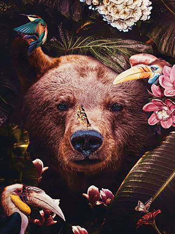 Diamond Mosaic 30x40 cm Bear with Birds, 26 colors, art. 4