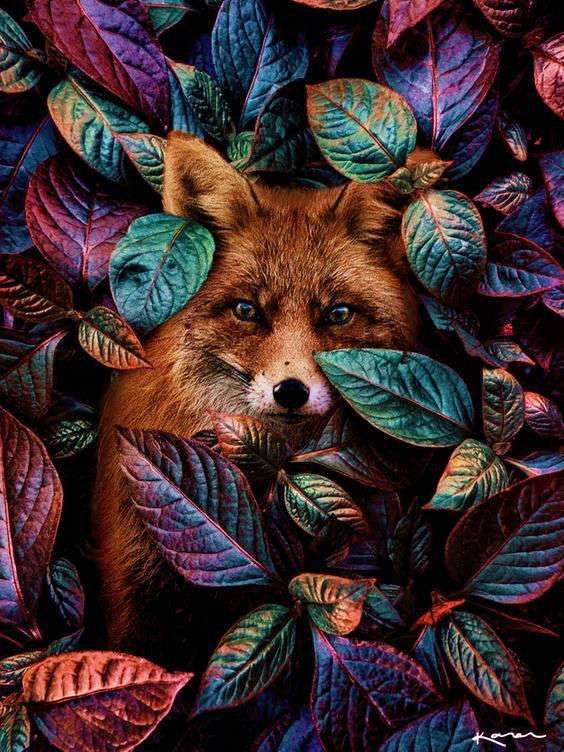 Diamond Mosaic 30x40 cm Fox among Leaves, 26 Colors, Level 4