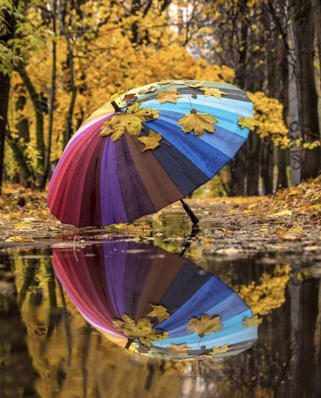 Paint by numbers 40x50 cm Rainbow Umbrella, 26 colors, cut 4