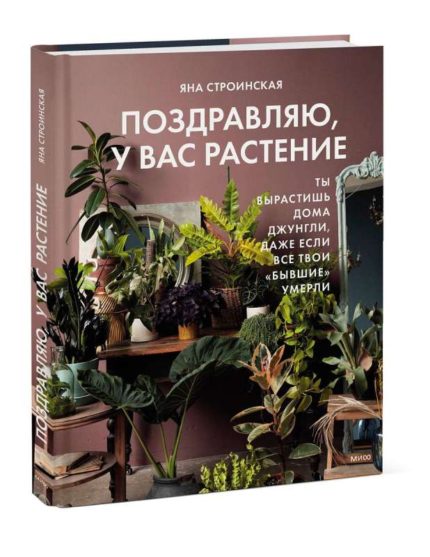 Congratulations, you have a plant. You will grow a jungle at home, even if all your exes have died