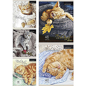 Notebook GRID 48 sheets. KITTENS AND BLANKETS