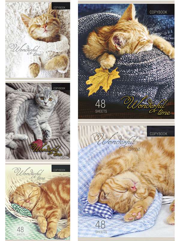 Notebook GRID 48 sheets. KITTENS AND BLANKETS
