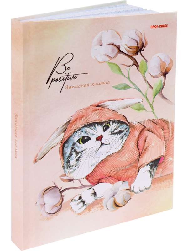 A5 Notebook 160 sheets, KITTEN IN A SUIT