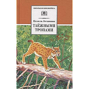 Through the Taiga Paths