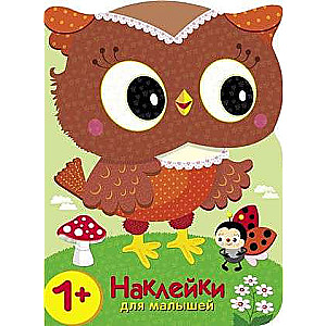 Stickers for Kids. Owls. Who is the most beautiful in the forest?