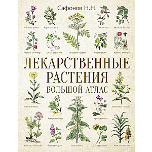 Medicinal Plants. Large Atlas