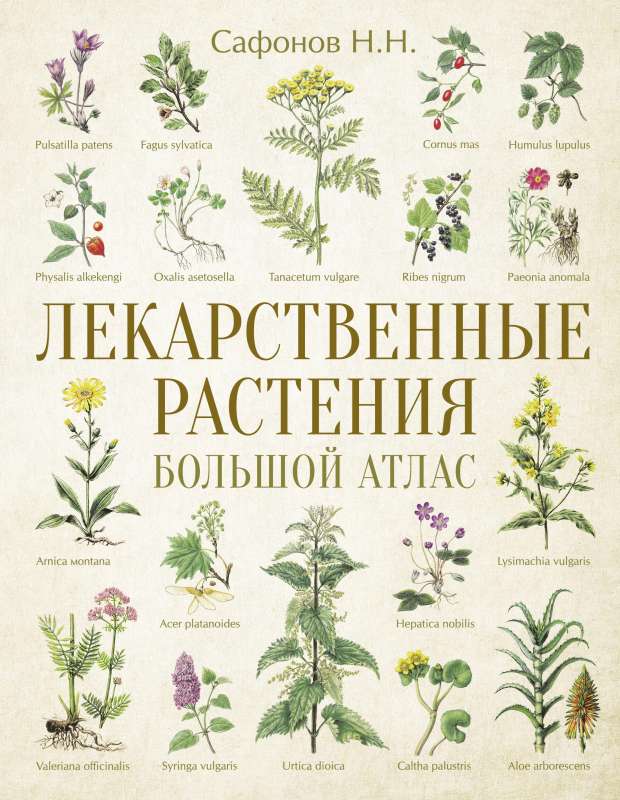 Medicinal Plants. Large Atlas