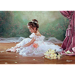 Paint by numbers 30x40 cm Young Ballerina