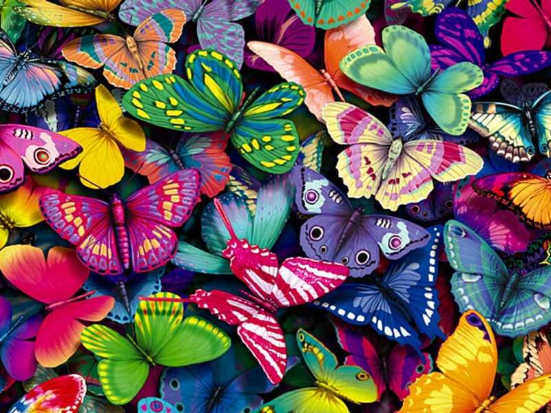 Paint by Numbers 30x40 cm Butterflies