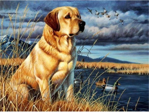 Paint by Numbers 30x40 cm Labrador