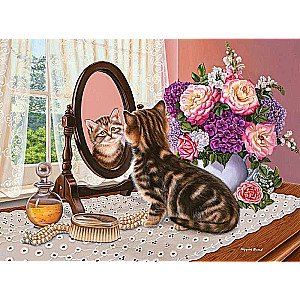Numbered Painting 30x40 cm Kitten in Front of a Mirror
