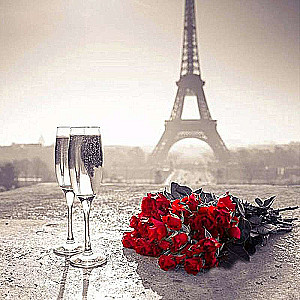 Diamond painting 30x30 cm Roses in Paris, 14 colors, canvas 3