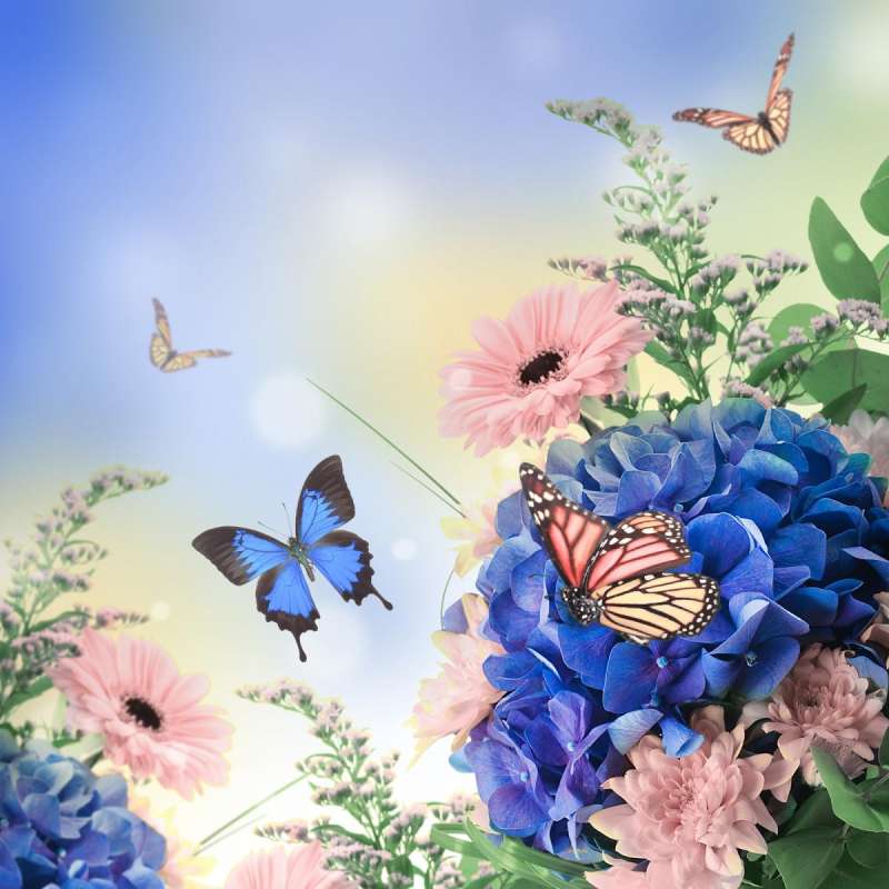 Diamond Mosaic 30x30 cm Butterflies in Flowers, 24 colors, level 3
